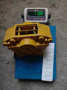 ZL00300061